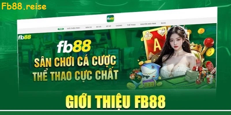 Giới thiệu khái quát sân chơi Fb88